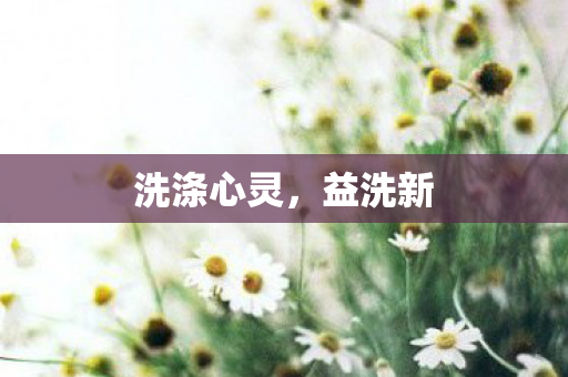 洗涤心灵图片