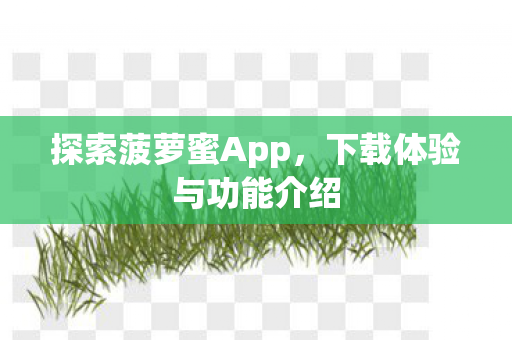 下载体验与功能介绍图片