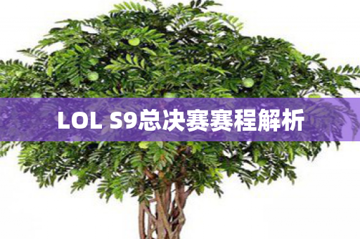 LOL S9总决赛赛程解析图片