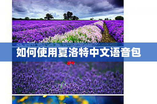 如何使用夏洛特中文语音包图片