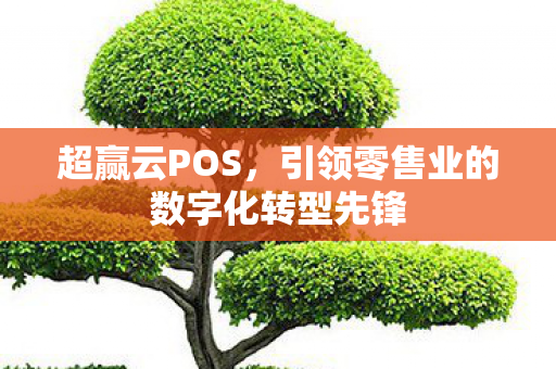 引领零售业的数字化转型先锋图片