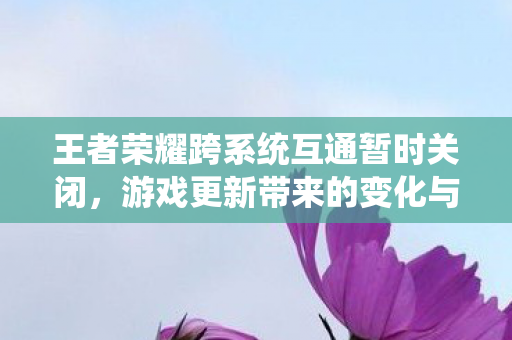 王者荣耀跨系统互通暂时关闭，游戏更新带来的变化与挑战