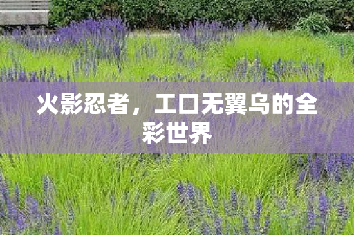 工口无翼乌的全彩世界图片