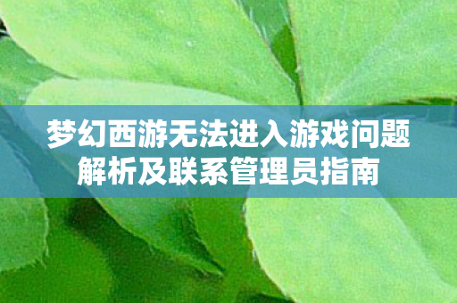 梦幻西游无法进入游戏问题解析及联系管理员指南图片