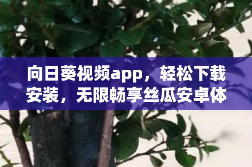 无限畅享丝瓜安卓体验图片