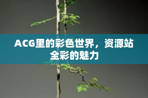 ACG里的彩色世界，资源站全彩的魅力