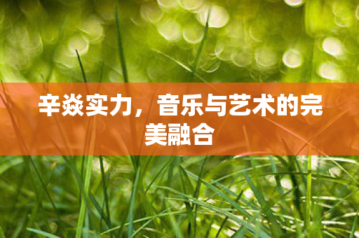 音乐与艺术的完美融合图片