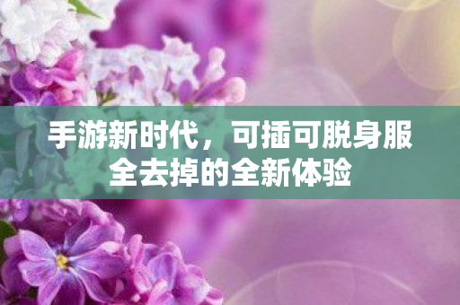 可插可脱身服全去掉的全新体验图片