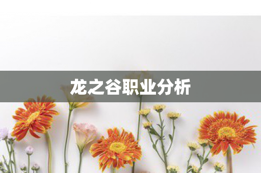 龙之谷职业分析图片