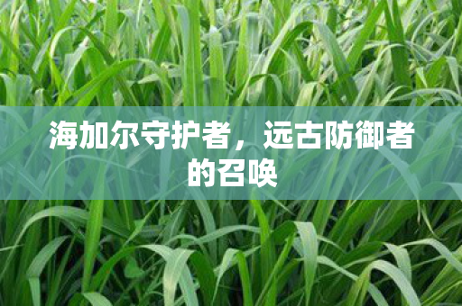 远古防御者的召唤图片