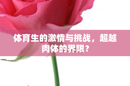 体育生的激情与挑战图片