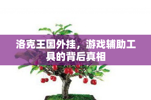 游戏辅助工具的背后真相图片