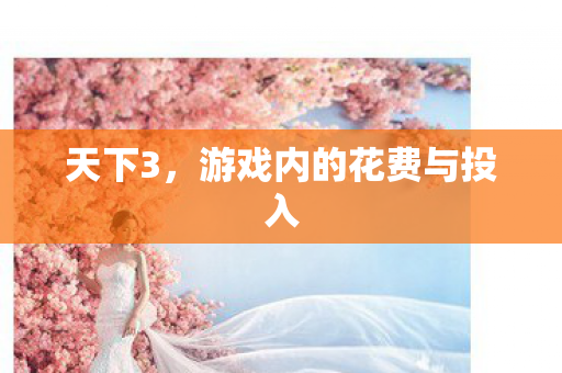游戏内的花费与投入图片