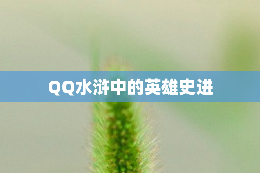QQ水浒中的英雄史进图片