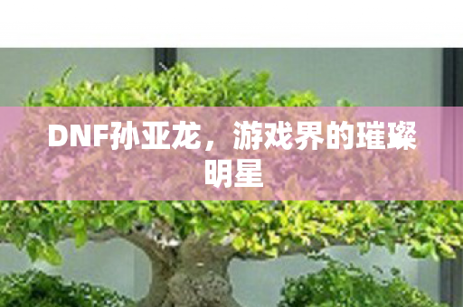 游戏界的璀璨明星图片