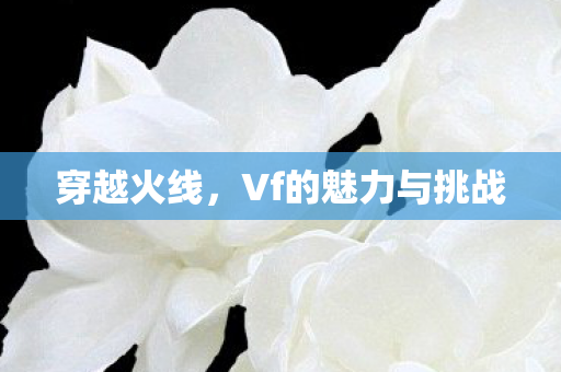 Vf的魅力与挑战图片