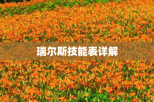 瑞尔斯技能表详解图片