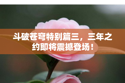 三年之约即将震撼登场图片