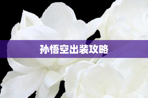 孙悟空出装攻略图片