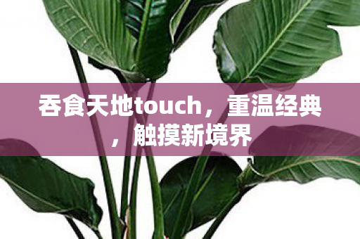 吞食天地touch图片