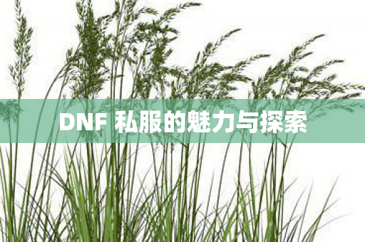 DNF 私服的魅力与探索图片