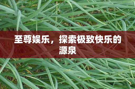 探索极致快乐的源泉图片