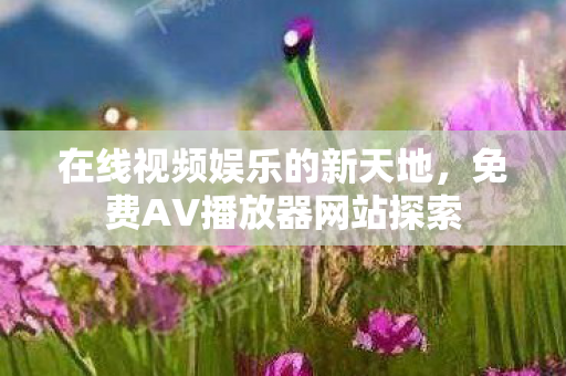 免费AV播放器网站探索图片
