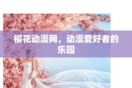动漫爱好者的乐园图片