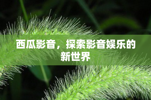 探索影音娱乐的新世界图片
