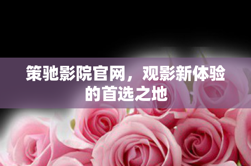 观影新体验的首选之地图片