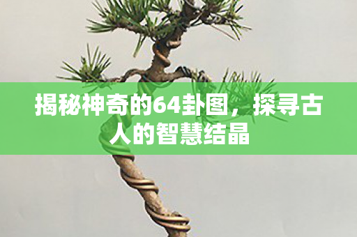 揭秘神奇的64卦图图片