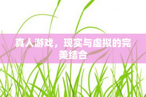 现实与虚拟的完美结合图片