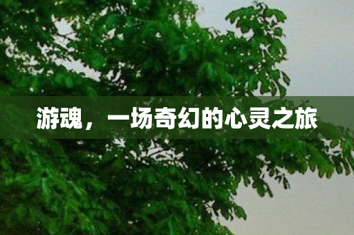 一场奇幻的心灵之旅图片