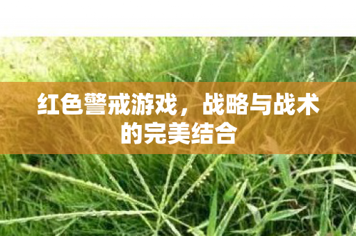 战略与战术的完美结合图片