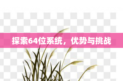 探索64位系统图片