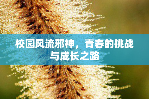 青春的挑战与成长之路图片