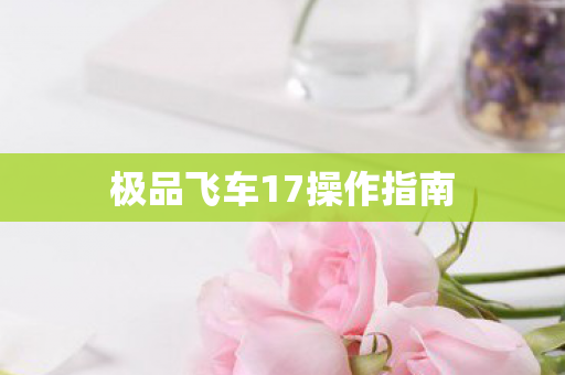 极品飞车17操作指南图片