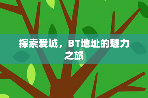 BT地址的魅力之旅图片