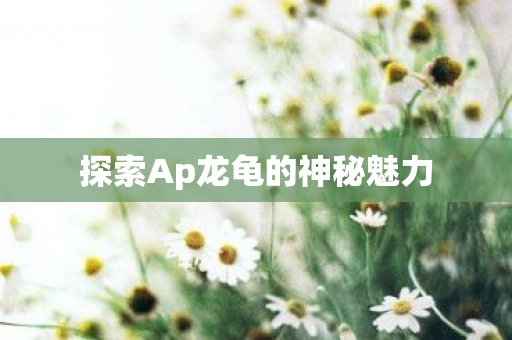 探索Ap龙龟的神秘魅力图片