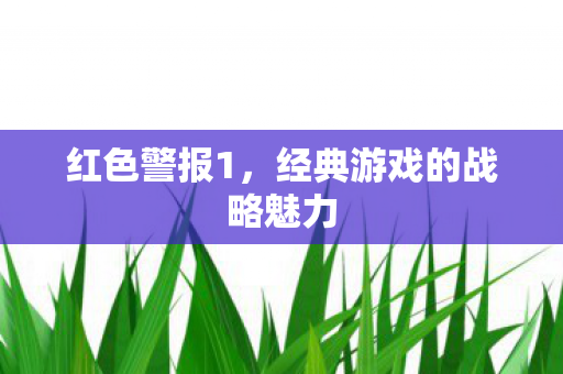 经典游戏的战略魅力图片