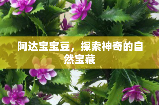 探索神奇的自然宝藏图片