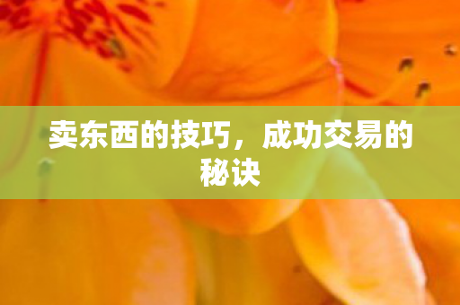 成功交易的秘诀图片