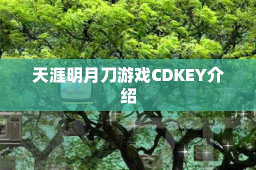 天涯明月刀游戏CDKEY介绍图片