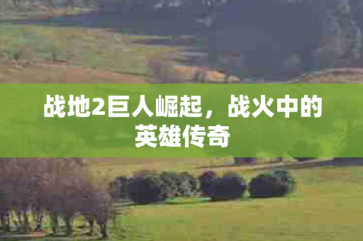 战火中的英雄传奇图片