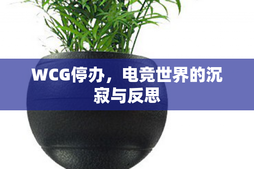 电竞世界的沉寂与反思图片
