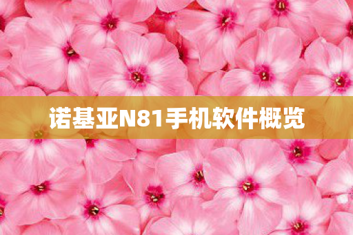 诺基亚N81手机软件概览图片