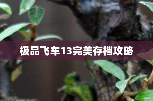 极品飞车13完美存档攻略图片