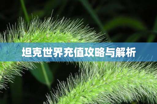 坦克世界充值攻略与解析图片