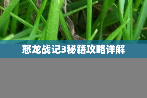 怒龙战记3秘籍攻略详解图片
