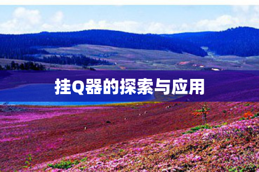 挂Q器的探索与应用图片